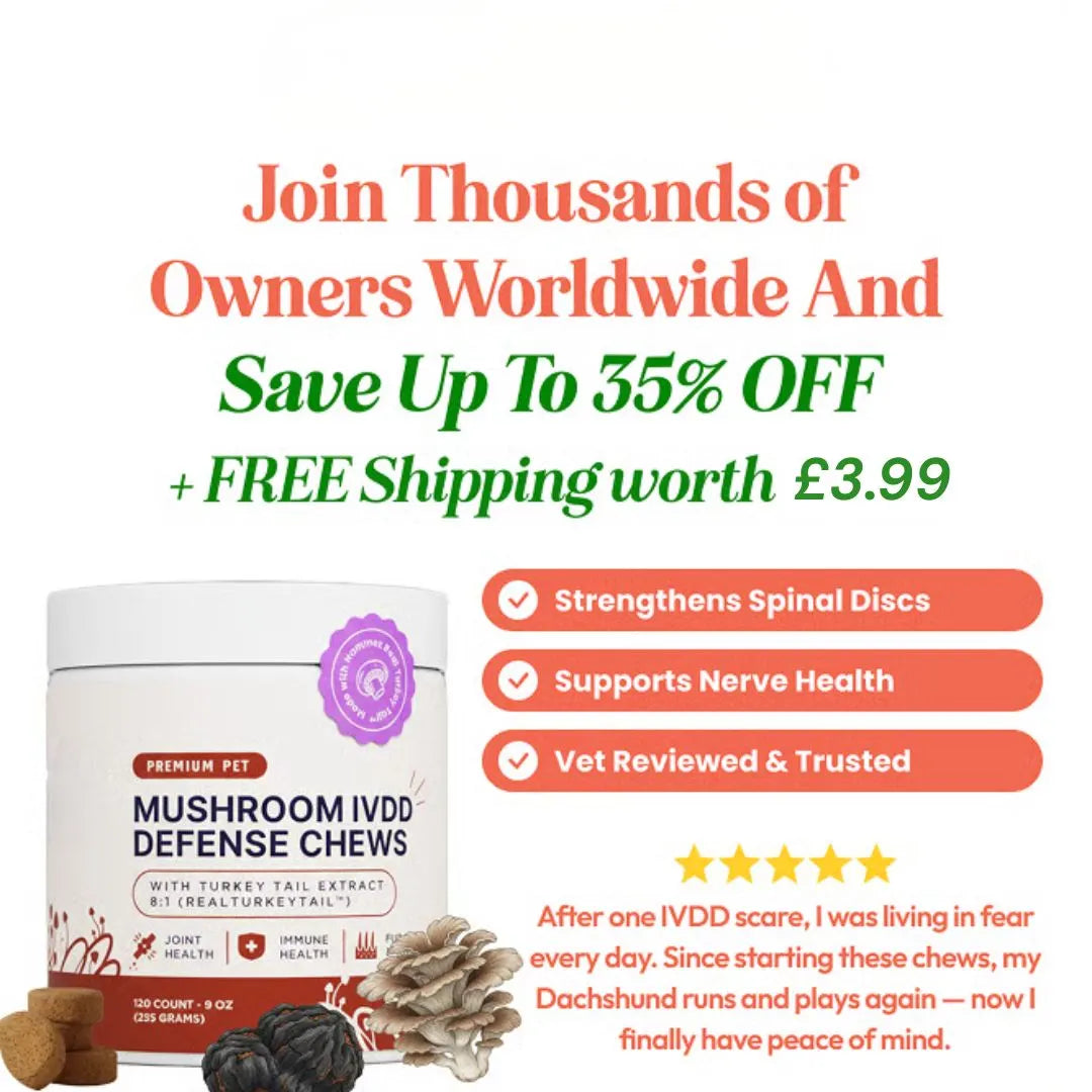 Premium Mushroom IVDD Defense Chews