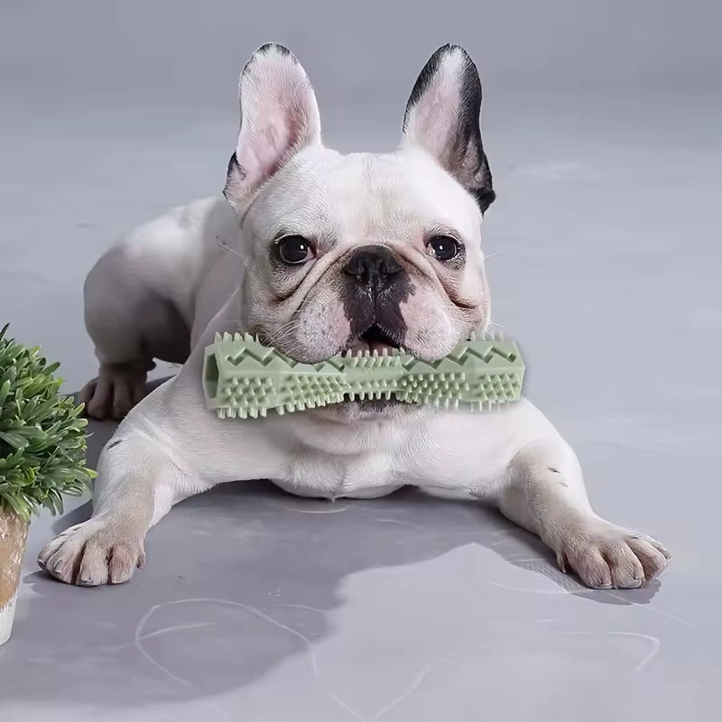 Dog Dental Chew Toy