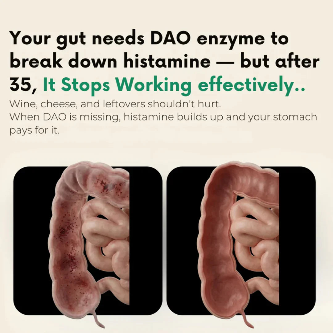 DAO Reclaim