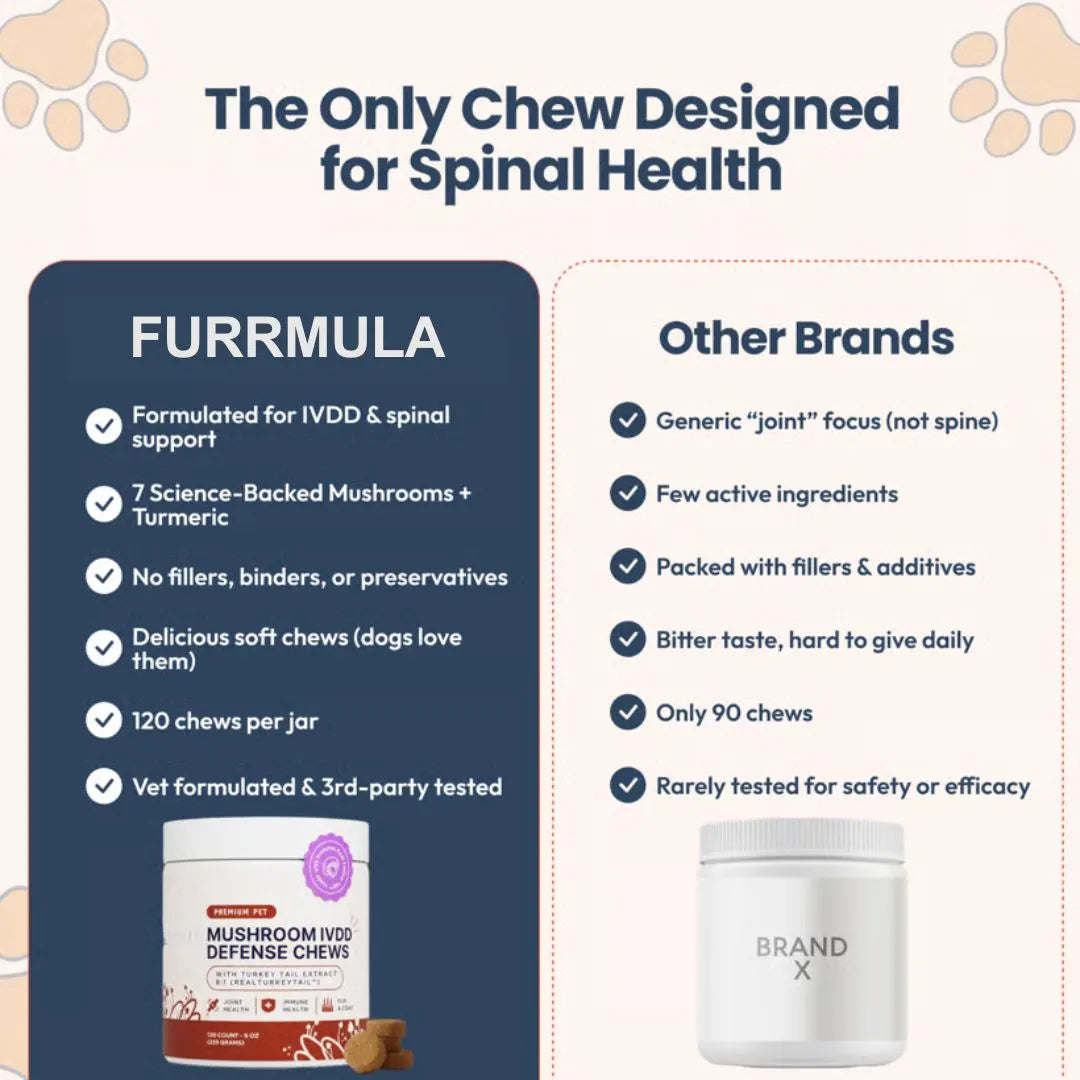 Premium Mushroom IVDD Defense Chews