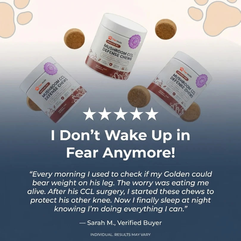 Furrmula™ CCL Defense Mushroom Chews