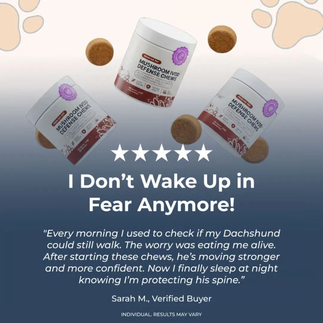 Premium Mushroom IVDD Defense Chews