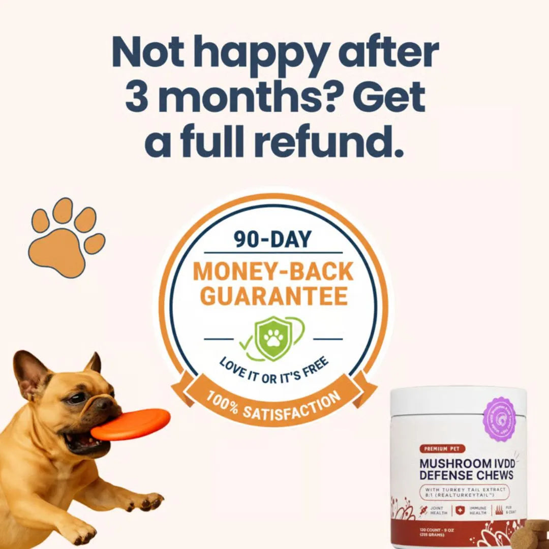 Premium Mushroom IVDD Defense Chews