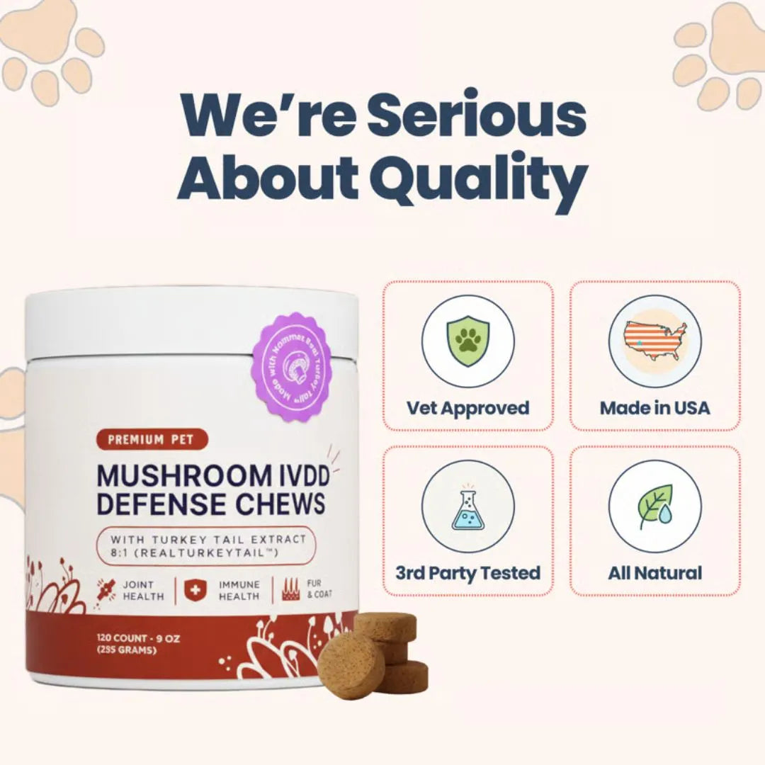 Premium Mushroom IVDD Defense Chews