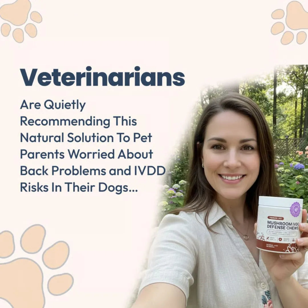 Premium Mushroom IVDD Defense Chews