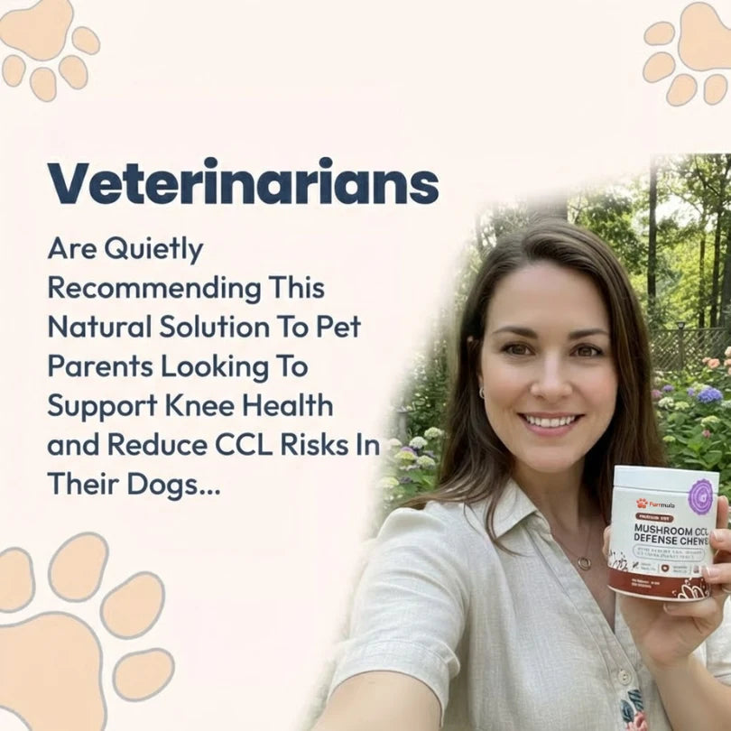 Furrmula™ CCL Defense Mushroom Chews