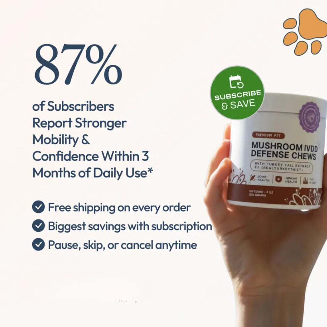 Premium Mushroom IVDD Defense Chews