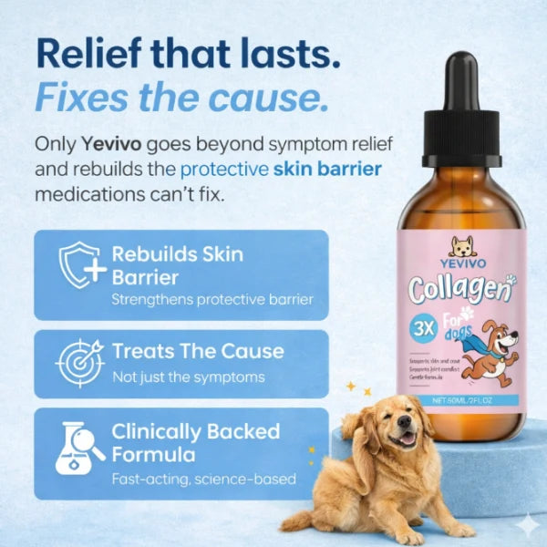 Premium Liquid Collagen