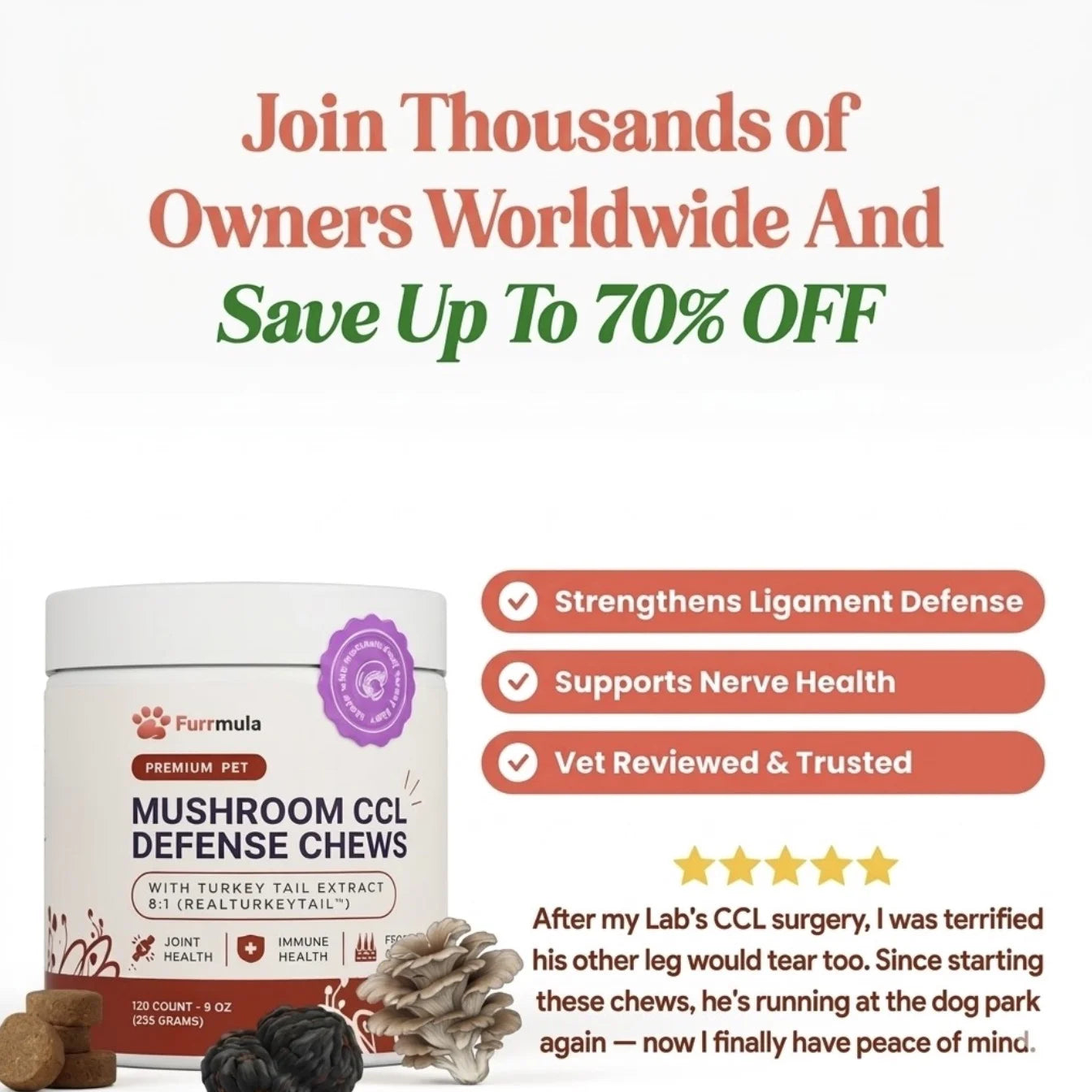 Premium Mushroom CCL Defense Chews