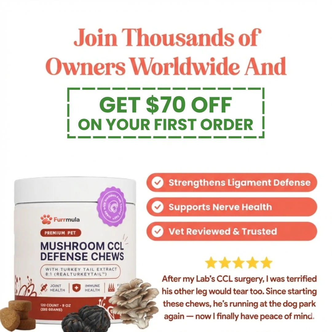 Furrmula™ CCL Defense Mushroom Chews