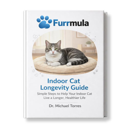 Cat Longevity Guide